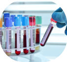 technician placing blood tubes in the laboratory centrifuge